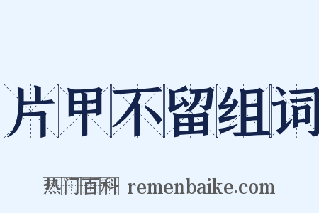 片甲不留组词是什么意思的图片